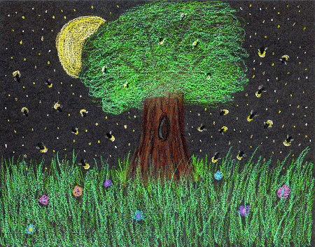 Night of the Fireflies by Tara N Colna